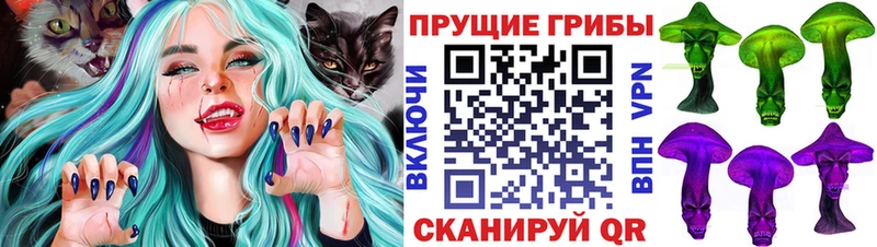даркнет Telegram  Полярный  Псилоцибиновые грибы мухоморы 